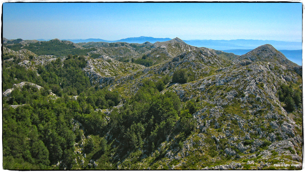 Biokovo Park prirode