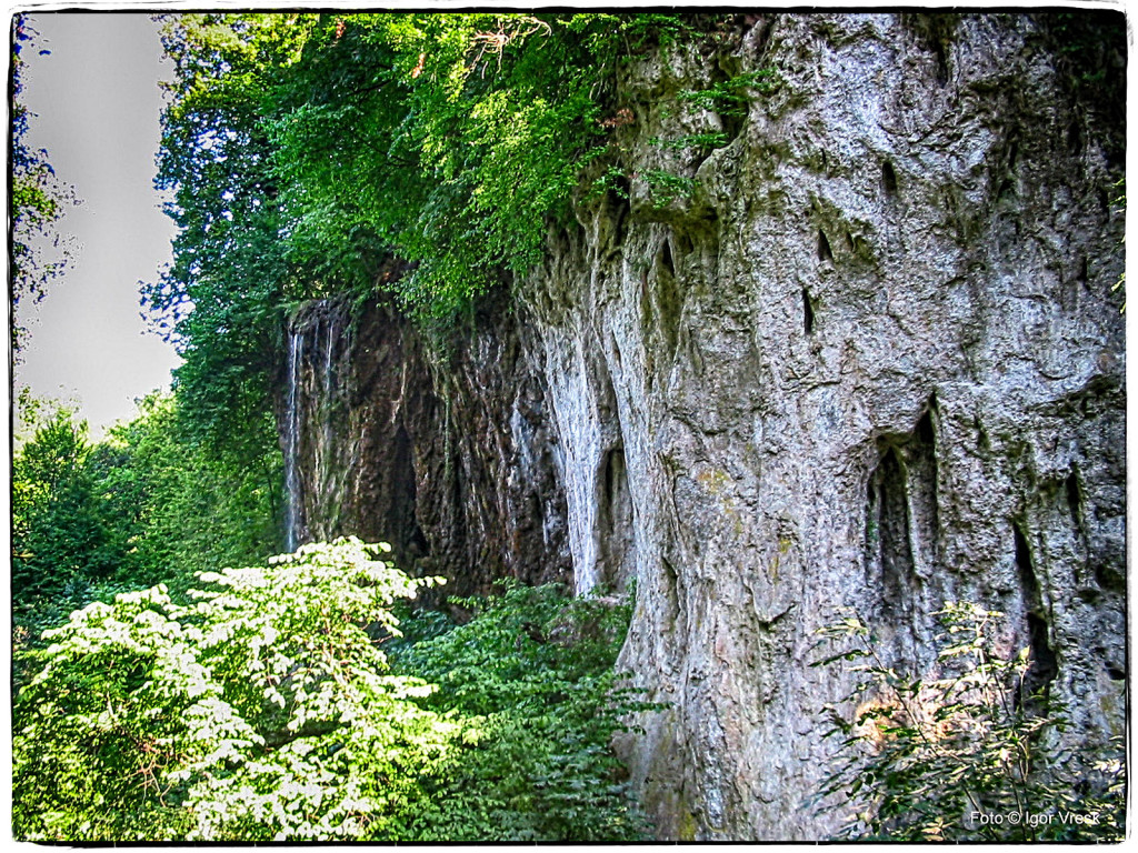 Jankovac