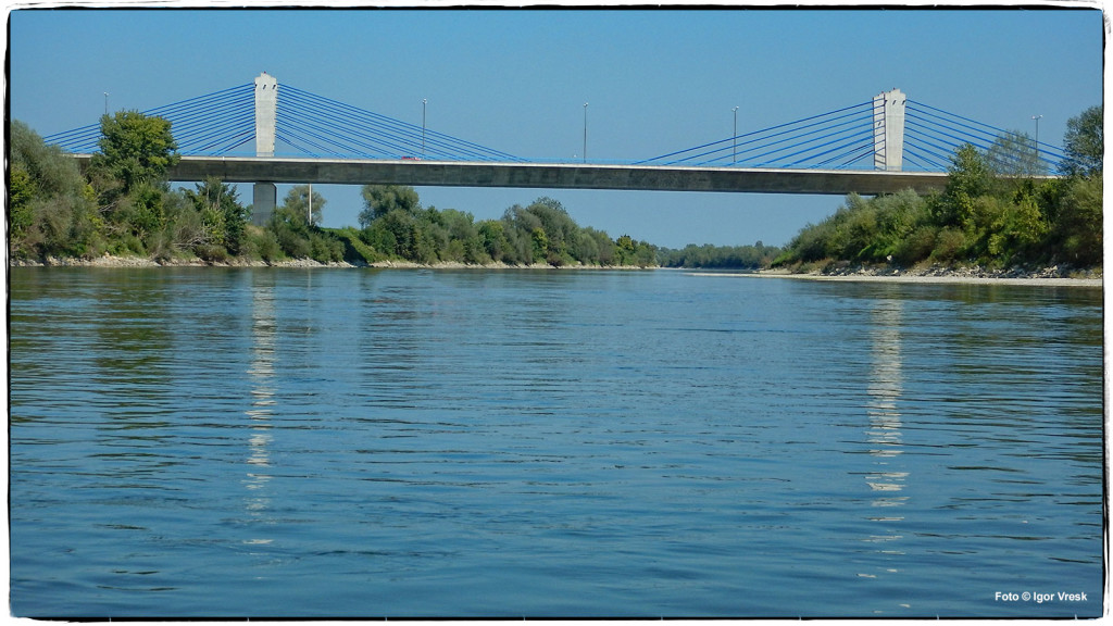 Rijeka Sava