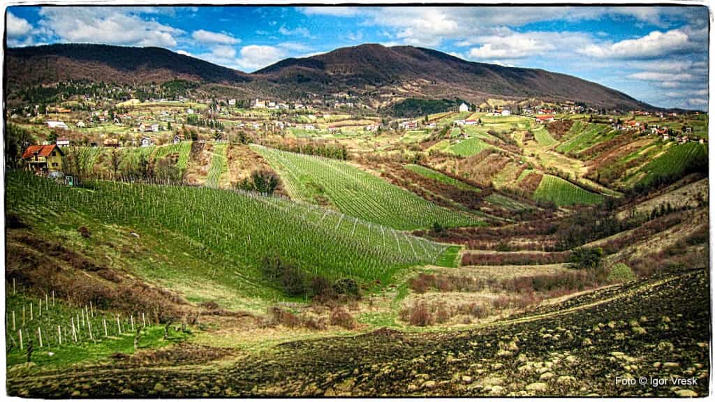 Samoborsko